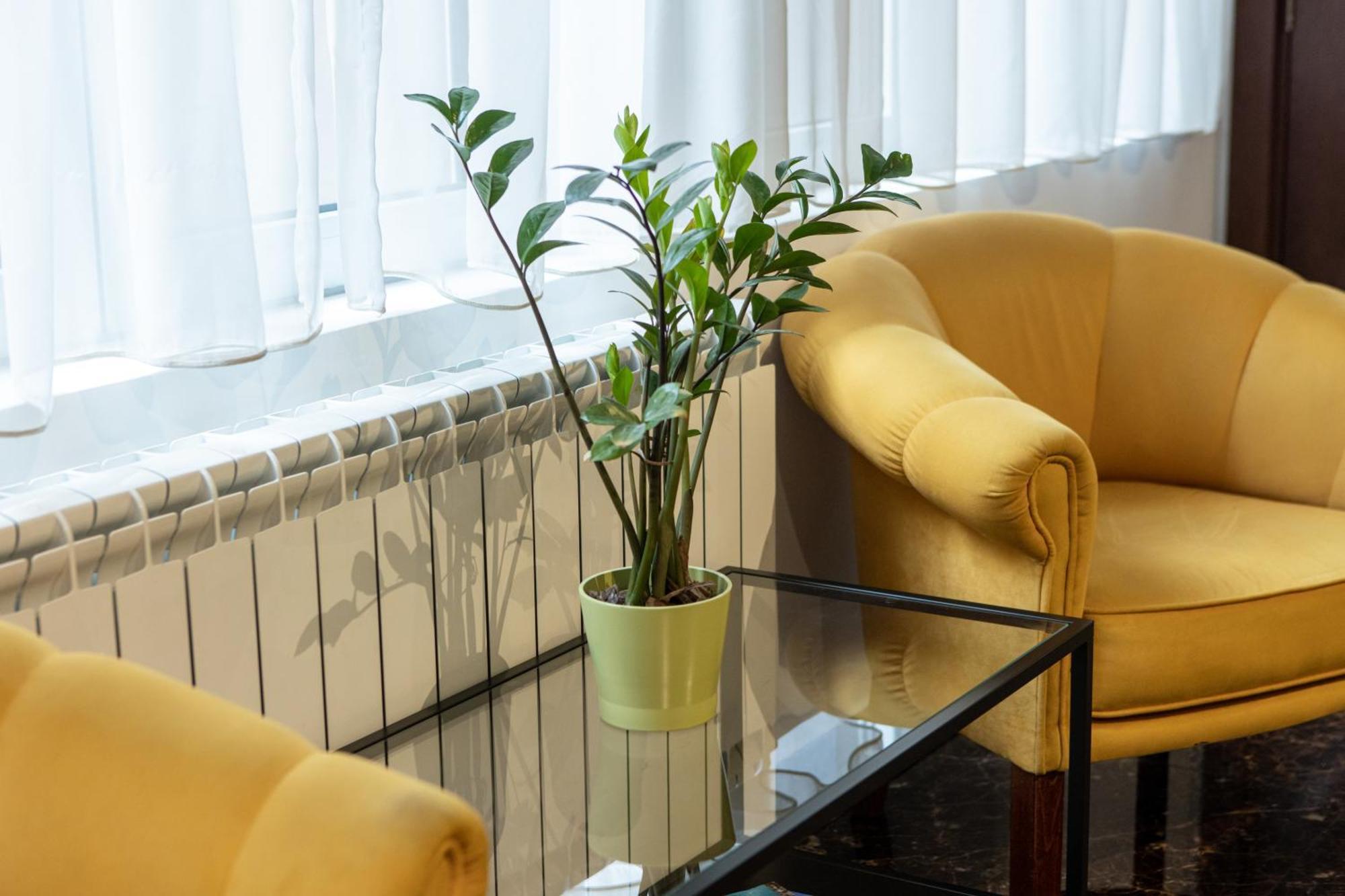 Garni House 46 Plus Belgrado Buitenkant foto